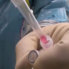 Teresa Romero recibe un tratamiento con tres fármacos combinados