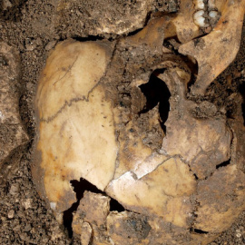 Niño calcolítico de hace 4.900 años del yacimiento de El Portalón (Atapuerca) que ha proporcionado ADN para el estudio. / Javier Trueba/Madrid Scientific Films