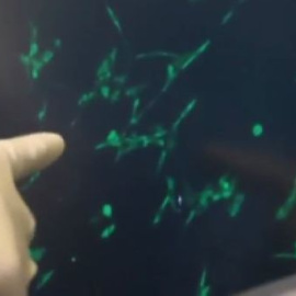 Las próximas horas son vitales