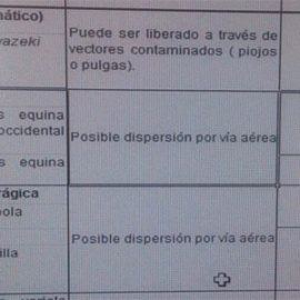 El Ejército español cree que el ébola se transmite por el aire