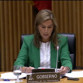 Ana Mato sobre el contagio: "Están abiertas todas las líneas de investigación, lo más prudente es no hacer lecturas precipitadas"