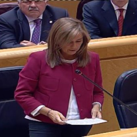 Mato: "Para mí lo más importante ha sido, es y será, la vida de Teresa Romero"