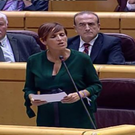 El PSOE acusa al Gobierno de ser "un factor más de riesgo" en la crisis del ébola