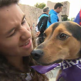 Perrotón, la carrera contra el maltrato animal