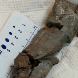 Un grupo de científicos encuentra una nueva especie de dinosaurio