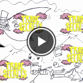 No a las nuevas leyes de Secretos Comerciales