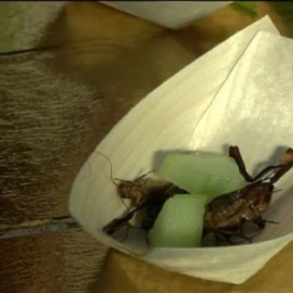 ¿Grillo salteado o gusano en su salsa?  Los insectos llegan a nuestros menús