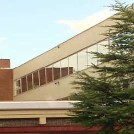 33 por ciento de discapacidad por estres postraumático 