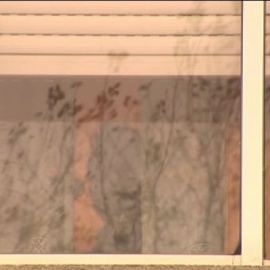 Teresa Romero estrena libertad