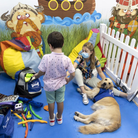Un niño del hospital Vélez-Málaga jugando con 'Gisela', la Golden de 'Perruneando'- 03/10/