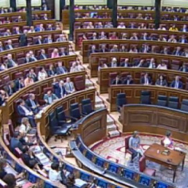 El Congreso debate sobre el reconocimiento del Estado Palestino