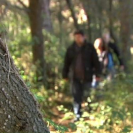 Tres mil bosques españoles podrían formar parte de una red para mejorar la salud paseando