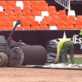  Mestalla ya tiene instalado un nuevo césped