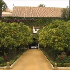 La familia y el pueblo Sevilla despiden a la Duquesa de Alba