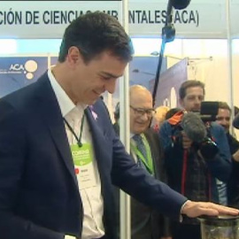 Pedro Sánchez considera un "error " la reforma constitucional para fijar el techo de gasto