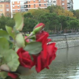 "Volaban las sillas y las mesas y los chavales, mientras, a palos"