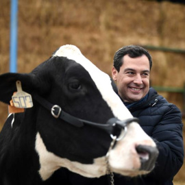 El candidato del PP a la Presidencia de la Junta de Andalucía, Juanma Moreno. - EFE