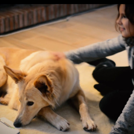 El vídeo navideño del Pacma