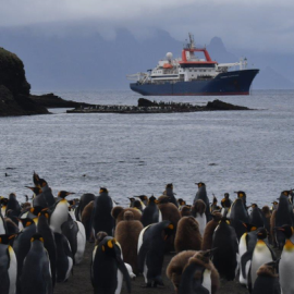 Reserva Natural de Tierras Australes de Francia. / UICN Wendy Strahm