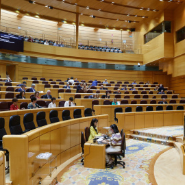 El senador socialista Antonio Magdaleno Alegría durante su intervención sobre la Ley de Memoria Democrática que se tramita este miércoles en el Senado.