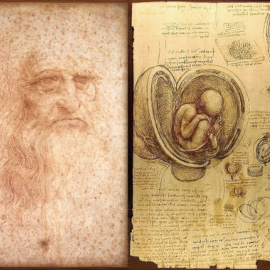 Autorretrato de Leonardo da Vinci dibujado entre 1512 y 1515 (izquierda) y dibujos sobre el embrión humano, realizados entre 1510 y 1513 (derecha).