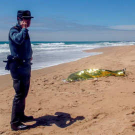 Un agente de la Guardia Civil junto al cadáver de un joven. EFE
