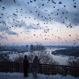 Una bandada de cuervos sobrevuela el centro de Kiev el 6 de diciembre de 2022, en medio de la invasión rusa de Ucrania.- AFP