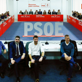 Vista de los miembros de la Ejecutiva Federal del PSOE, en una reunión el pasado diciembre. EFE/Emilio Naranjo