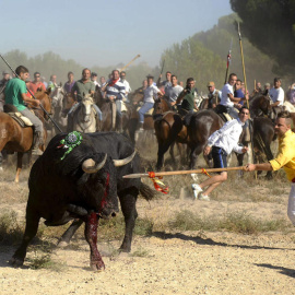 Espectaculo de El Toro de la Vega en Tordesillas. EFE
