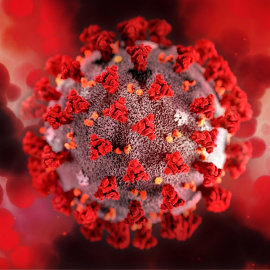  Imagen de Gerd Altmann en Pixabay