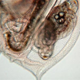 548b861d7053d.jpg
