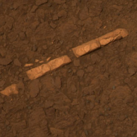 548b01f5204f8.jpg