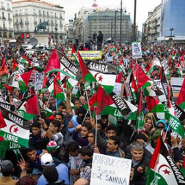 Manifestación en Madrid de noviembre de 2010 en apoyo de un Sáhara libre.
