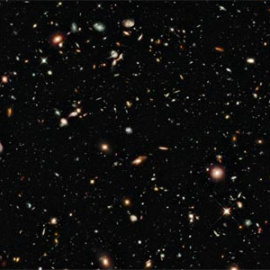 548b456ca8919.jpg