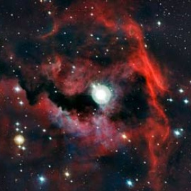 548b46494138e.jpg