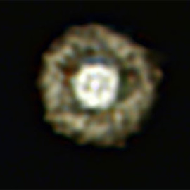 548c58624d0b8.jpg