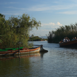 548c065a48ec9.jpg
