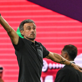 Luis Enrique, durante el pasado mundial.