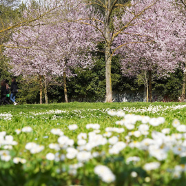 Para este primer fin de semana de la primavera se espera un clima estable aunque las temperaturas bajarán a partir del domingo