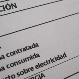 La Plataforma pide que los consumidores aplacen el pago del recibo de mayo y junio. / EFE