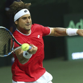 David Ferrer, durante el partido. EFE/Rajat Gupta