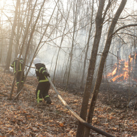 Imagen de los incendios cerca de la zona radiactiva de Chernóbil. / Reuters