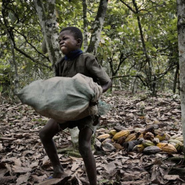 La explotación laboral de los menores es uno de los asuntos que más preocupan a los organismos internacionales.