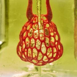 Imagen de la Rice University. JORDAN MILLER