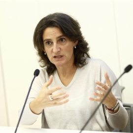 Teresa Ribera será la titular del Ministerio de Transición Energética y Medio Ambiente. / EP