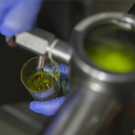 Trabajador del sector aceitero. / EFE