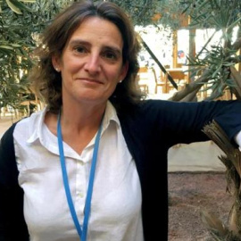 La nueva ministra de Medio Ambiente, Energía, Agua y Cambio Climático, Teresa Ribera, en una foto de archivo. EFE