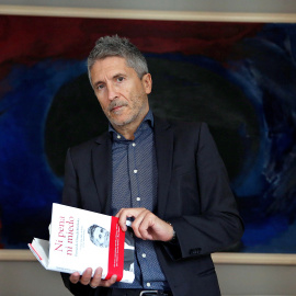 Fotografía de archivo de Fernando Grande-Marlaska que será el ministro del Interior en el Gobierno de Pedro Sánchez. - EFE