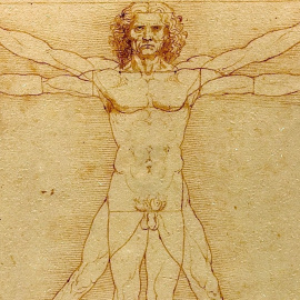 El famoso hombre de Vitruvio, dibujado por Leonardo da Vinci, es la imagen del canon de las proporciones de los humanos