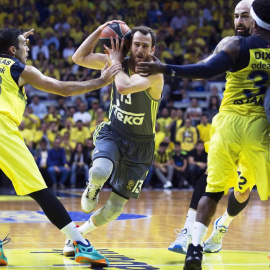 El base del Real Madrid Sergio Rodríguez lucha por el balón con Kostas Sloukas y Bobby Dixon. / EFE